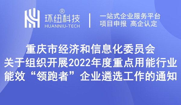 2022年度重点用能行业能效领跑者企业遴选工作