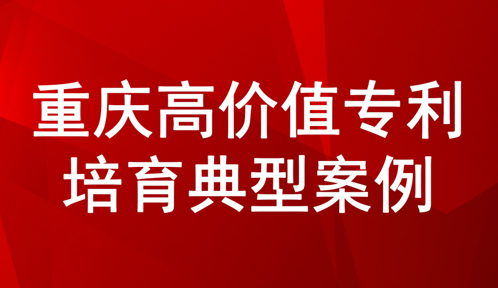 重庆高价值专利培育典型案例——兼具中西药多剂型智能生产系统