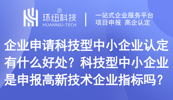 科技型中小企业认定