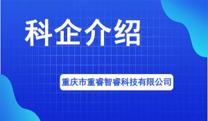 重庆市重睿智睿科技有限公司